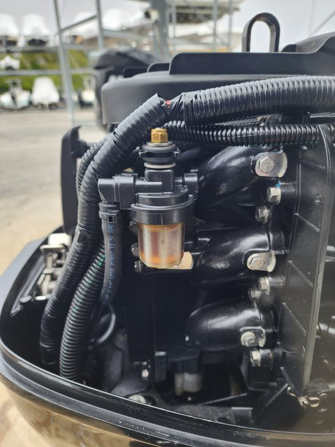 Outboard engine components with a translucent filter bowl, hoses and wiring.