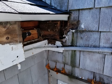 Close view of deteriorated wood beneath a small roof edge where it meets a shingled wall.